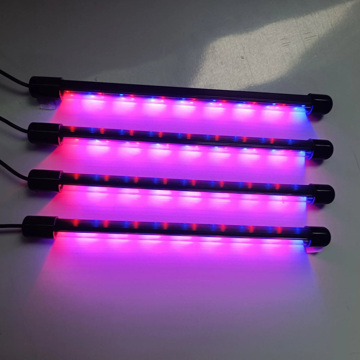 Complete All-in-One Seedling Propagation System with LED Grow Light and Starter Tray Box
