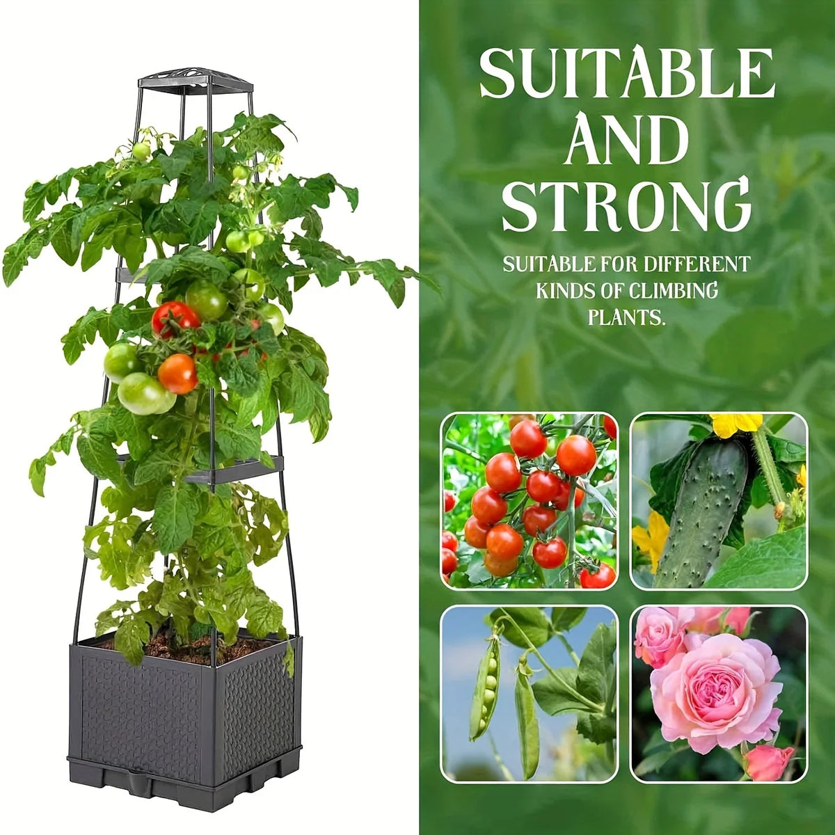 Garden Bed Planters Box for Climbing Vegetables Plant, Self Watering Tomato Cages