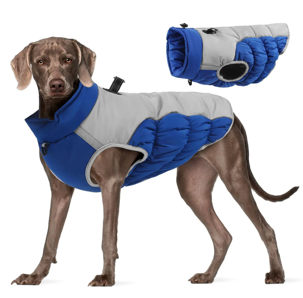 Zheng Xin Warm Winter Polyester Dog Coat Waterproof Jacket Vest Reflective Puppy Apparel