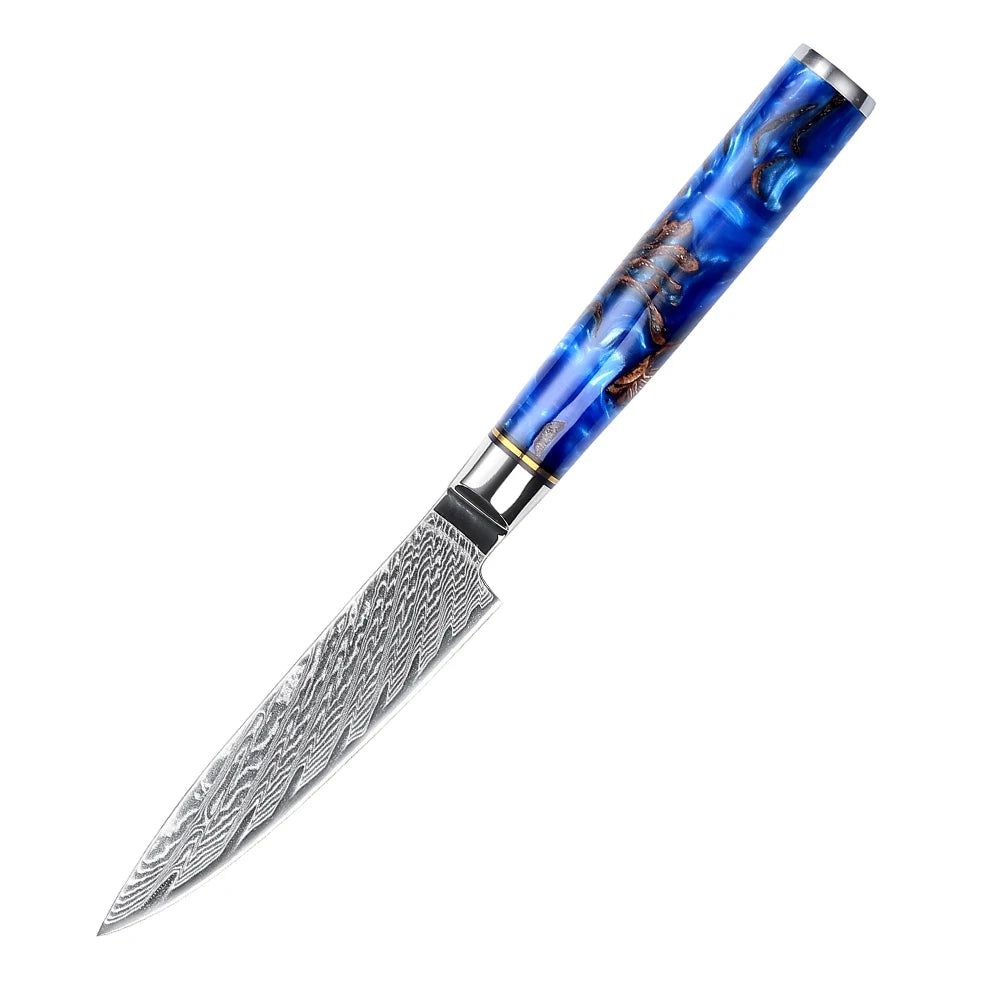Professional 9PCS Japanese Damascus Steel Chef Knife Set 67 Layers VG10 Core Pinecone