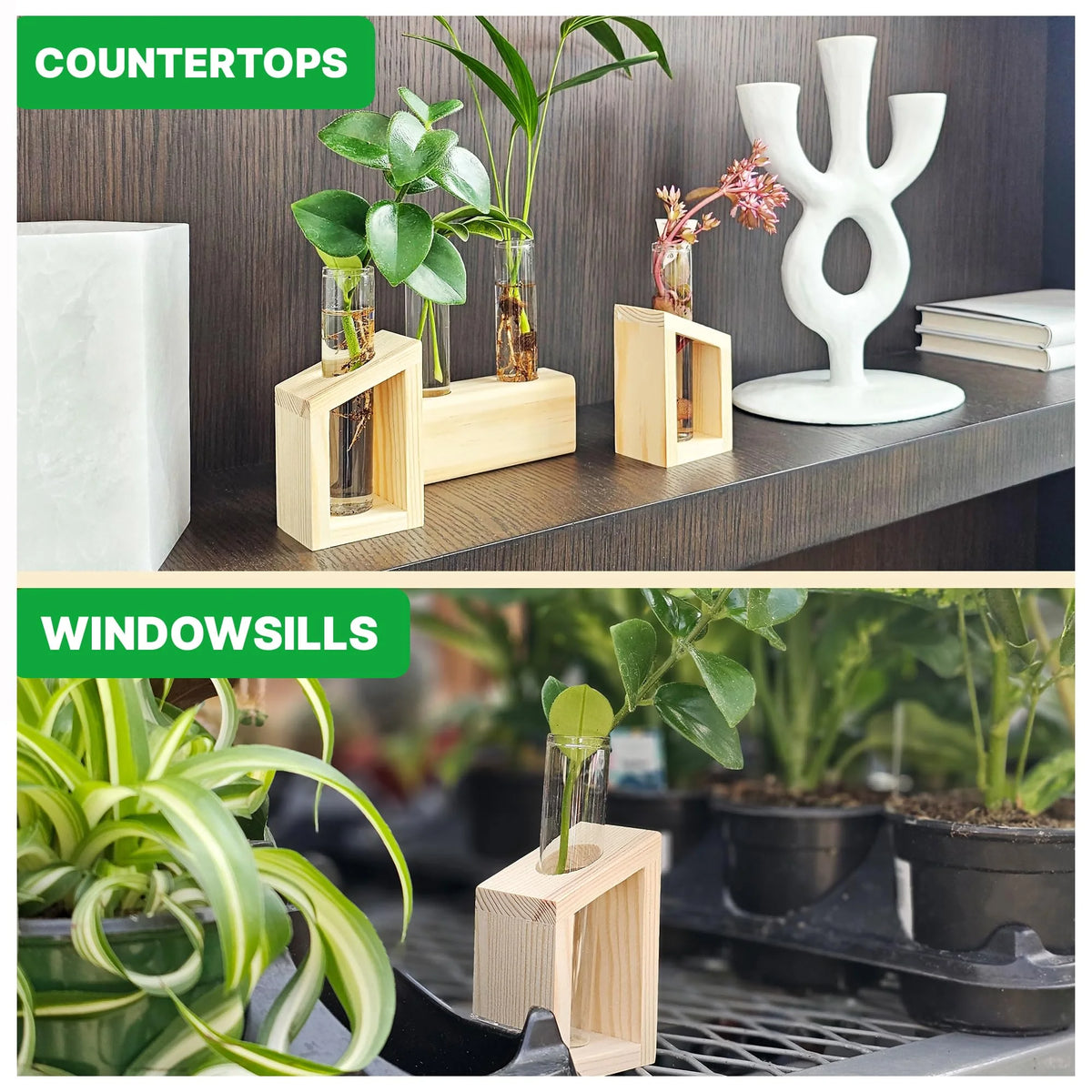 Plant Propagation Station 3-Piece Wooden Stand with 4 Glass Test Tubes Terrarium Vases