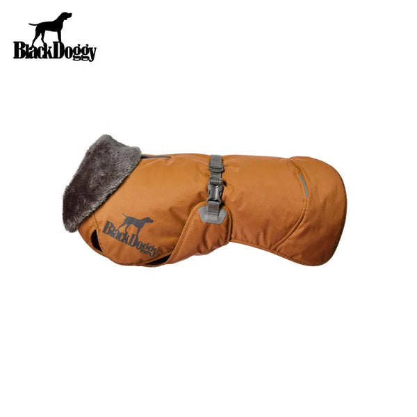 BlackDoggy Eco-Friendly Sports Style Outdoor Dog Clothes Series Thermal Winter Dog Jacket