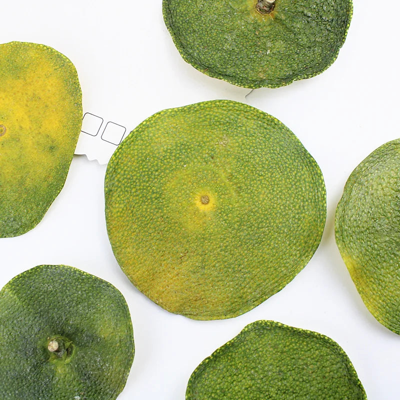 Natural Dried Orange Slices Material for Aromatherapy Candle Wax Melts Potpourri Sachet