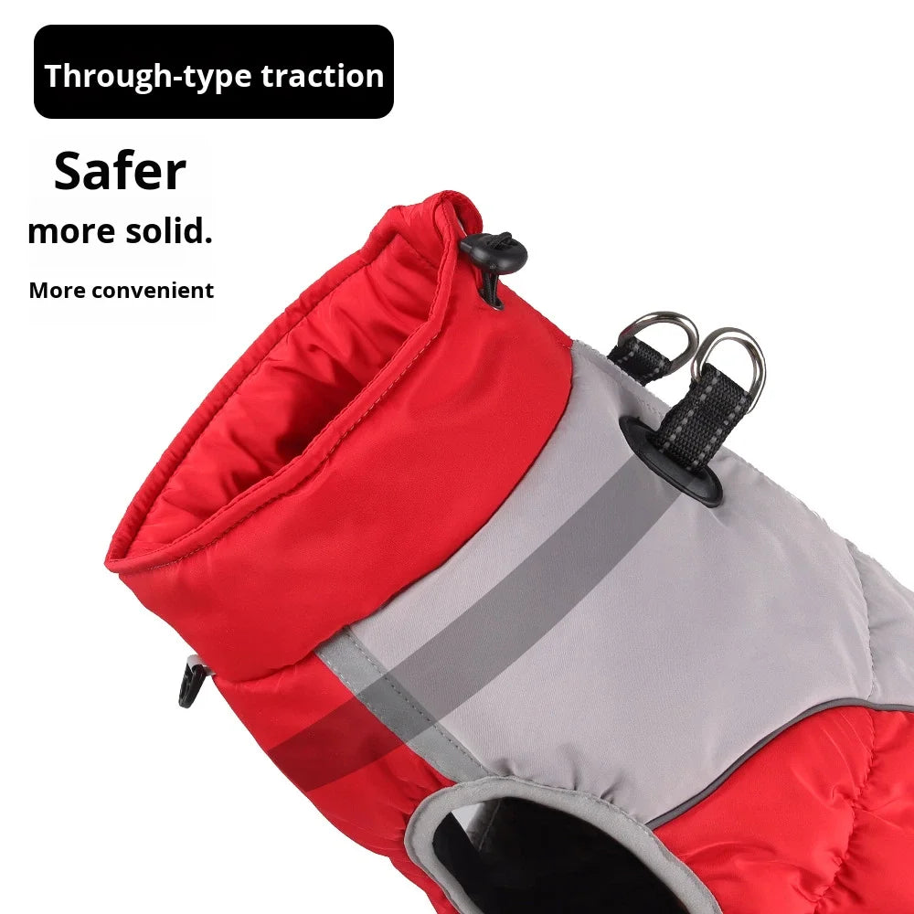 Winter Dog Cotton-Padded Windproof Windbreaker Jacket Sporty Style Warm for Medium