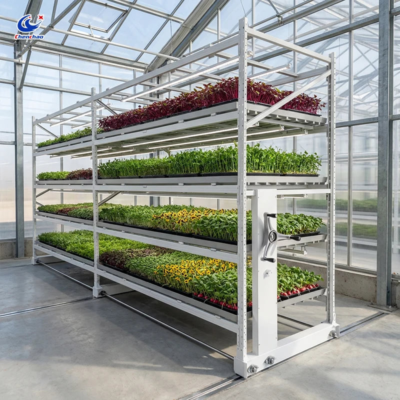 Chenchao Hydroponic System with ABS Trays, Vertical Propagation Rack and Greenhouse