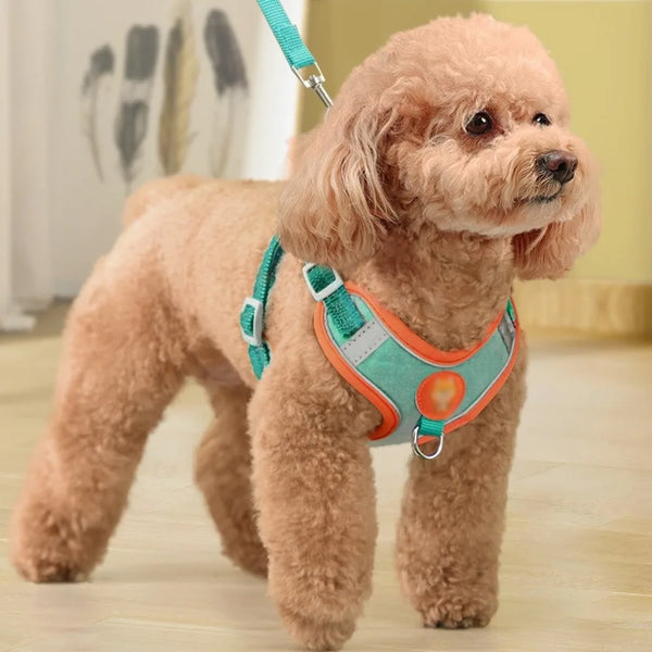Luxury Adjustable No Pull Nylon Dog Harness Soft Padded Vest Style Pet Harness for Daily