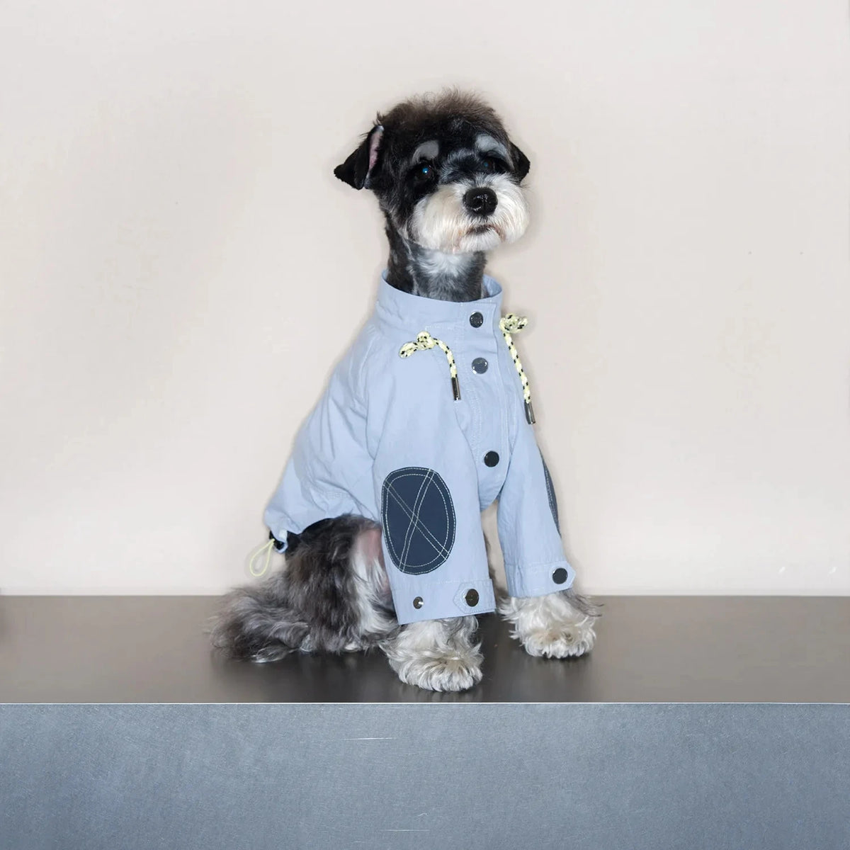 Retro Waterproof Cotton Dog & Cat Raincoat Windbreaker High Collar Adjustable Lightweight
