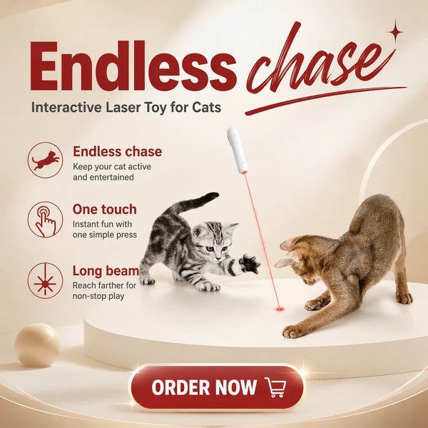 Interactive Smart Laser Cat Toy with App Control, Rechargeable ABS Body