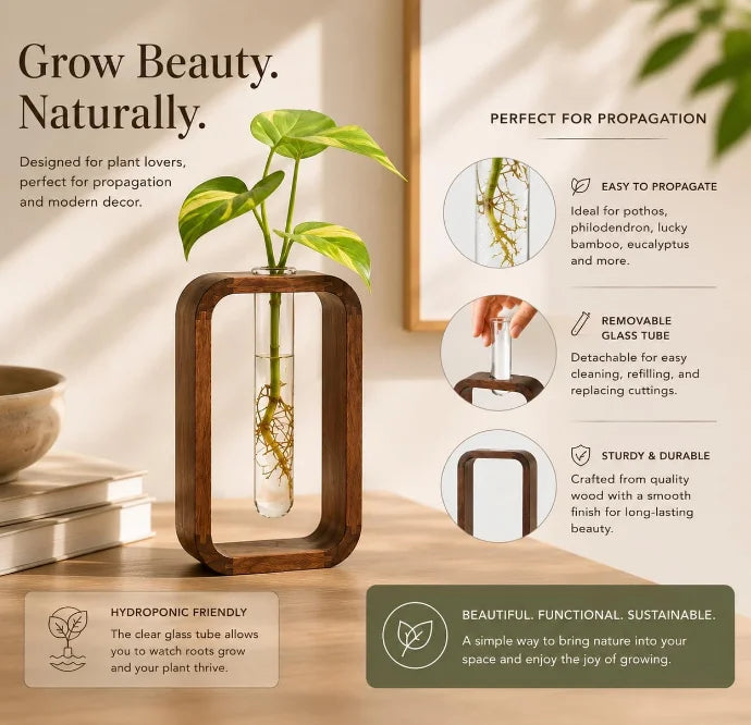 Minimalist Modern Indoor Wooden Frame Glass Vase Hydroponic Planter Wooden Propagation