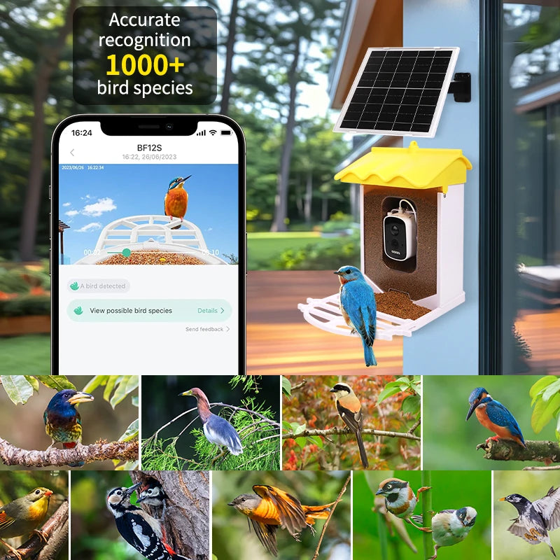 Smart 3.2L Squirrel-Proof Bird Feeder with Automatic Motion Detection Outdoor Wireless