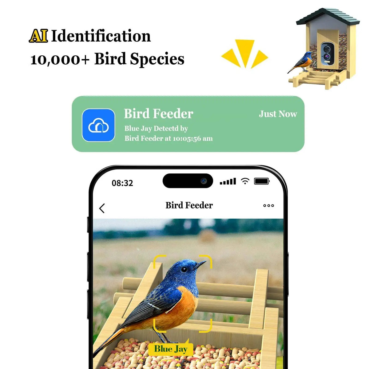 5MP Mini Smart Network CCTV Camera HD Solar Powered Bird Feeder Night Vision Wireless