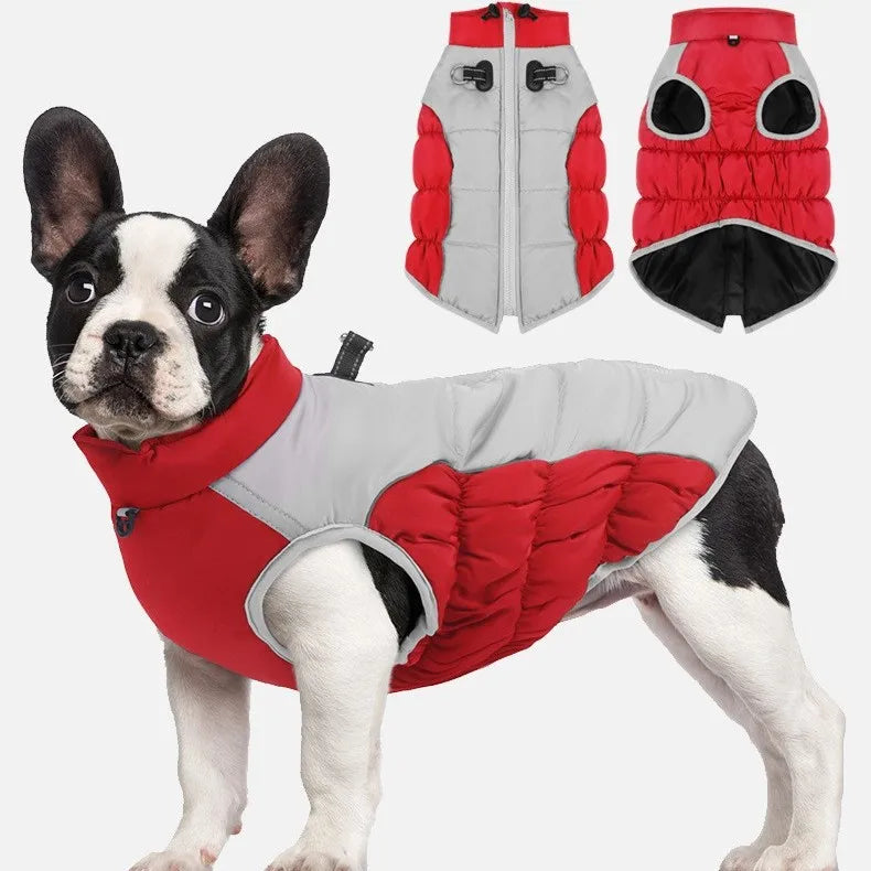 Winter Dog Cotton-Padded Windproof Windbreaker Jacket Sporty Style Warm for Medium