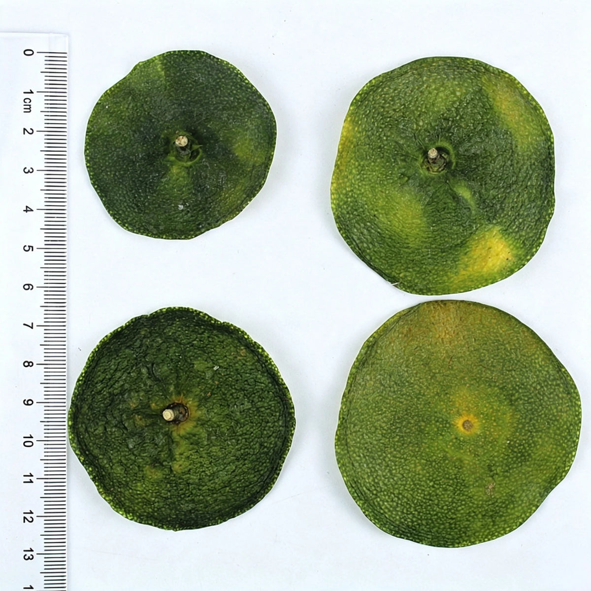 Natural Dried Orange Slices Material for Aromatherapy Candle Wax Melts Potpourri Sachet