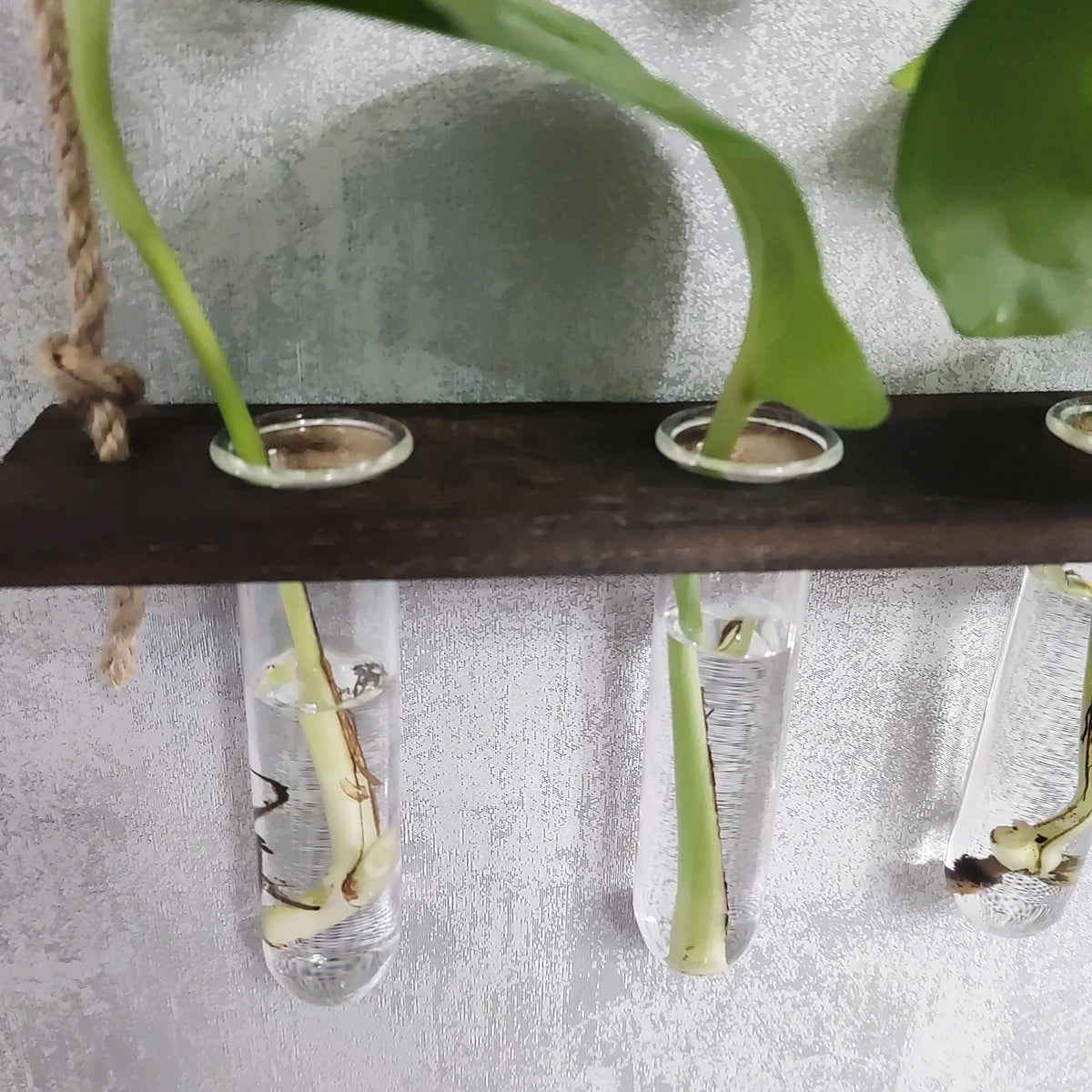 Wall Hanging Propagation Station with Wooden Stand 5 Glass Test Tubes 3 Tiered Wall
