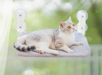 Cat Window Perch Hammock - Sunny Seat for Cats to Lounge, Bask & Climb Sturdy Pet Window