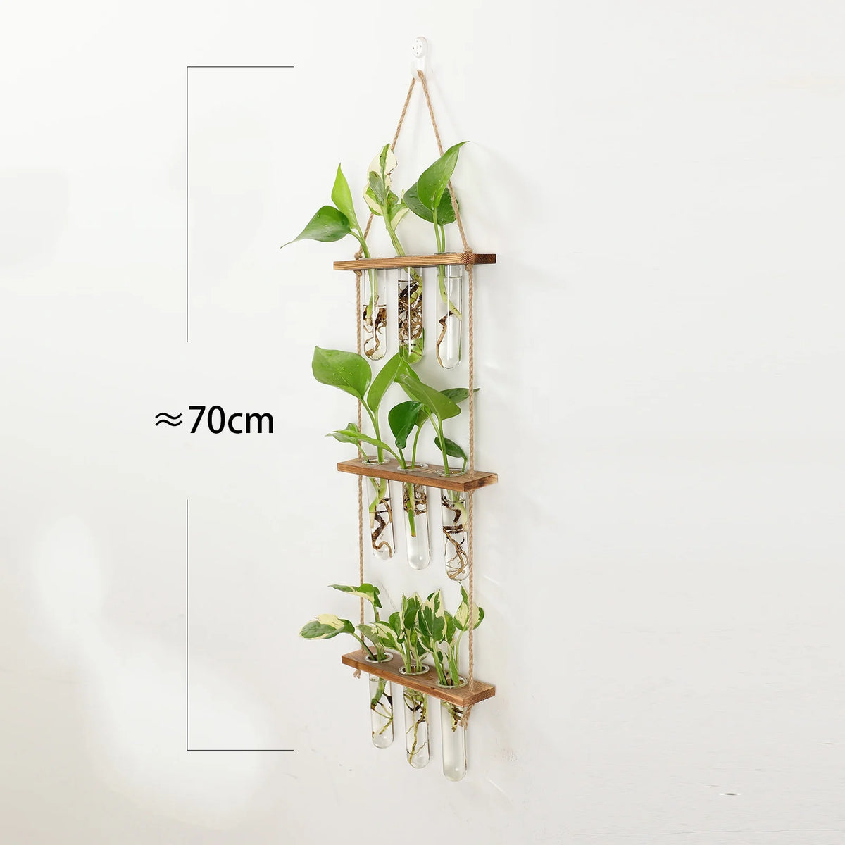 Glass Propagation Station with Wooden Stand for Hanging