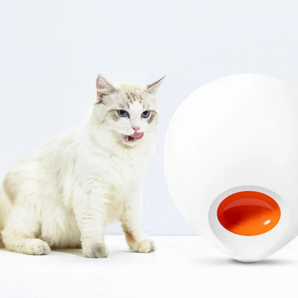 Smart Automatic Pet Feeder for Wet and Dry Food App Control Ice Packs for Freshness