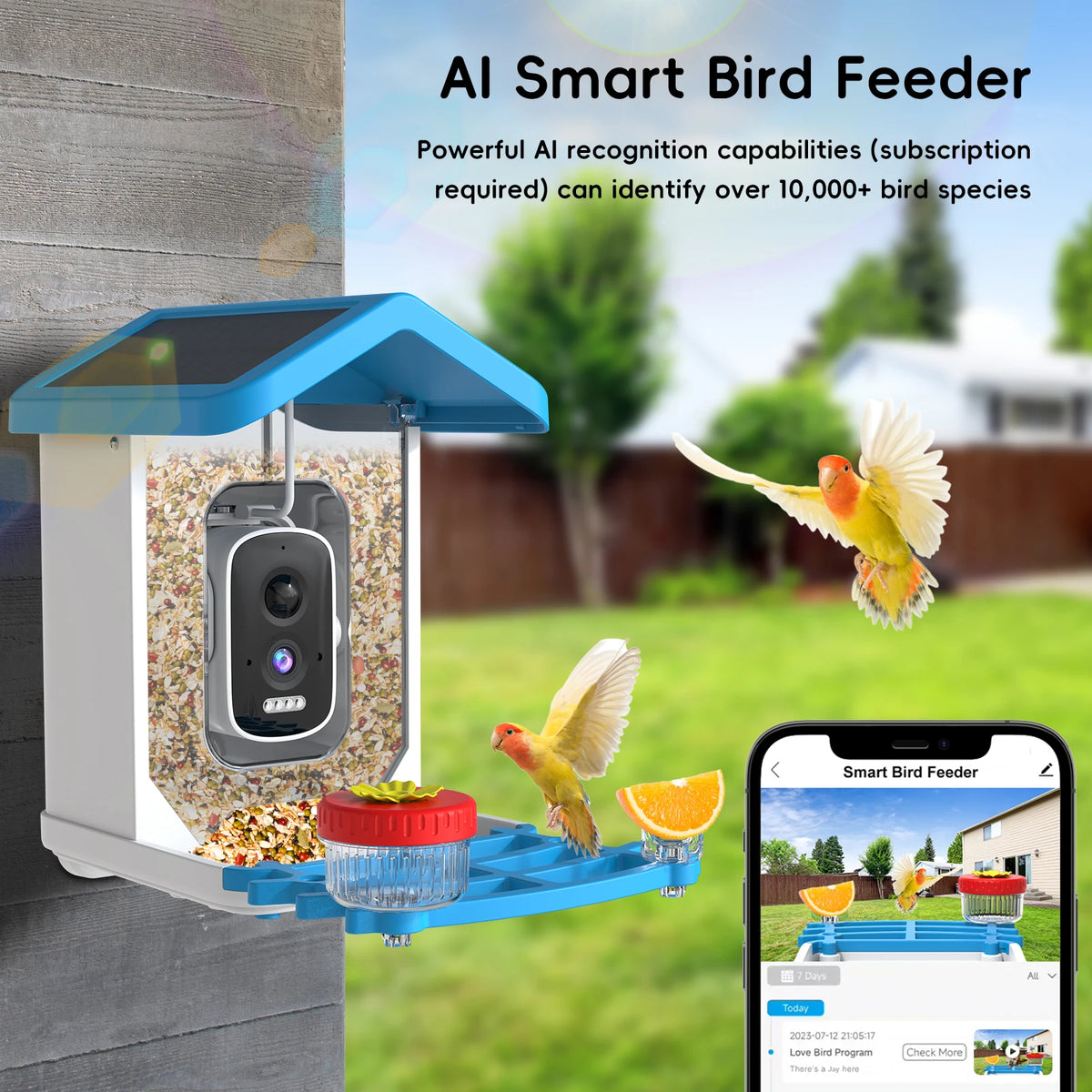 Smart Solar Bird Feeder With 5MP Night Vision Cam Auto Bird Video Recording APP Monitor