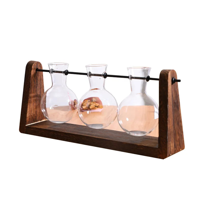 Plant Propagation Station Plant Terrarium with Wooden Stand for Plant Lovers Home Office