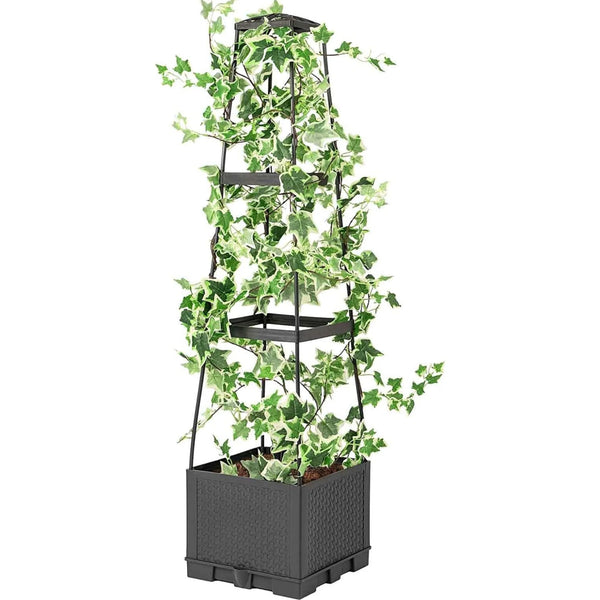 Garden Bed Planters Box for Climbing Vegetables Plant, Self Watering Tomato Cages
