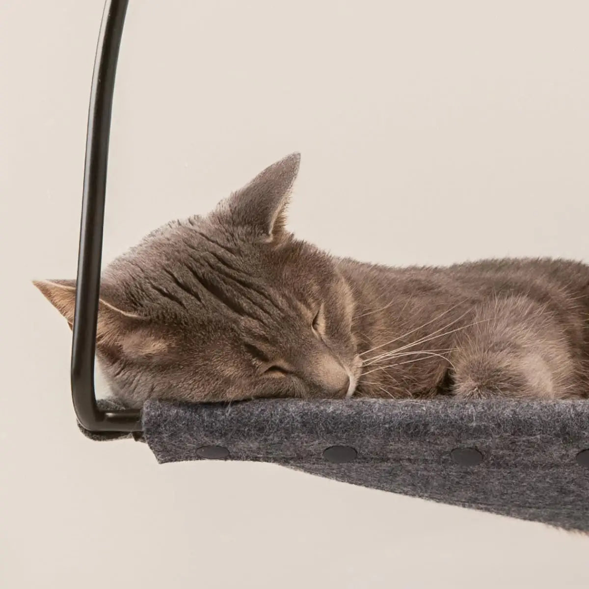 Window Cat Beds Hammock By Tuft & Paw Designed for Strength with 3 Suction Cup 30 Lb