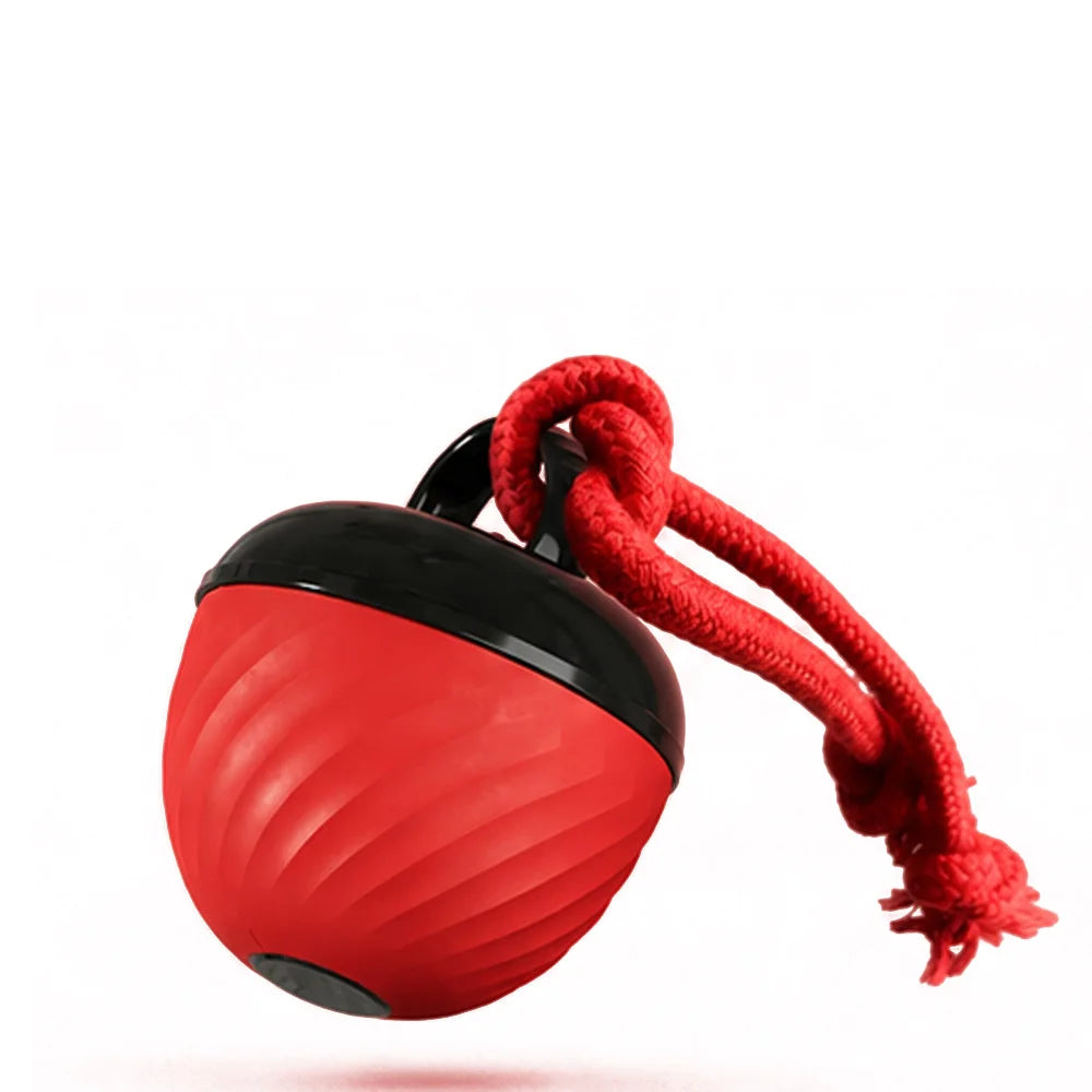 Custom Smart Automatic Rolling Ball Electric Interactive Nylon Rope Sound Ball Lovely Pet