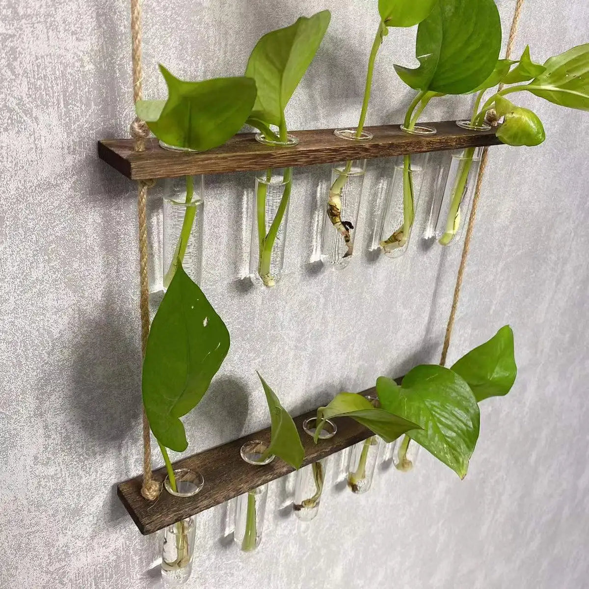 Wall Hanging Propagation Station with Wooden Stand 5 Glass Test Tubes 3 Tiered Wall