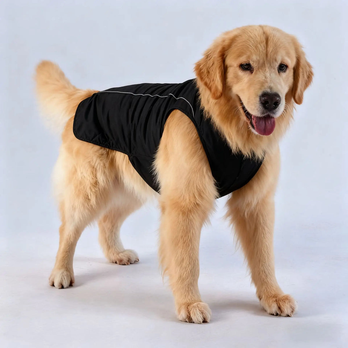Pet Winter Big Dog Clothes Thickened Warm Polyester Casual Style Cotton-Padded Coat