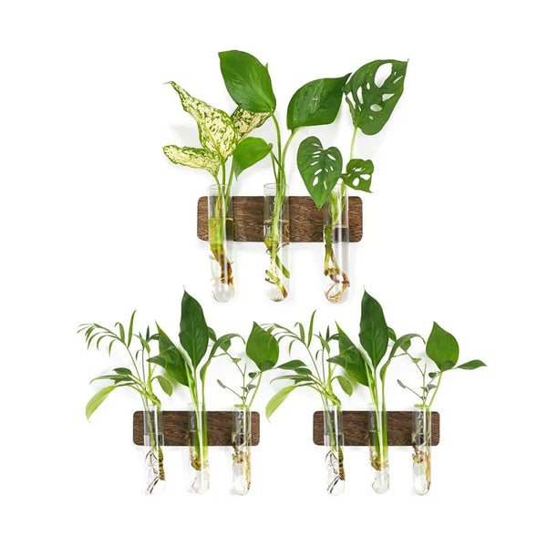 Wall Hanging Propagation Station With Wooden Stand Glass Test Tubes for Home Office Plant