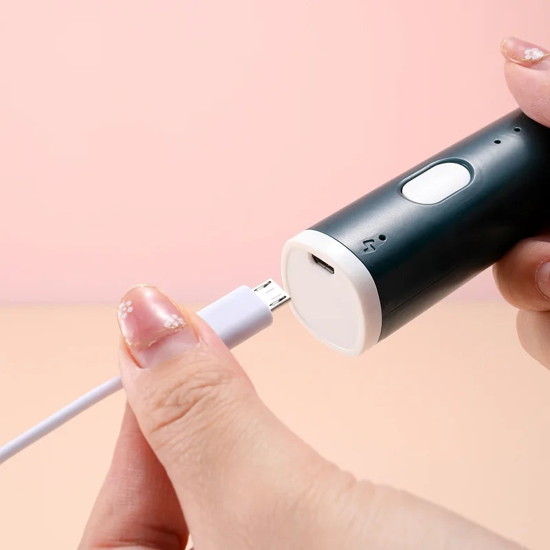 Usb Handheld Automatic Manual Electric Milk Frother Hand Electric Milk Frother& Milk Foam