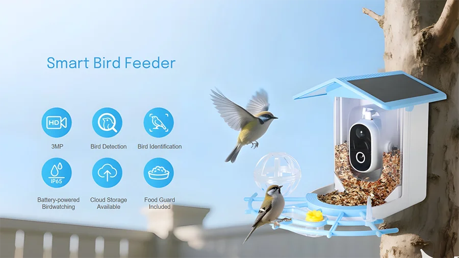 YT Wireless Outdoor Tracking Smart Bird Feeder with Camera Halloween Batteries Solar