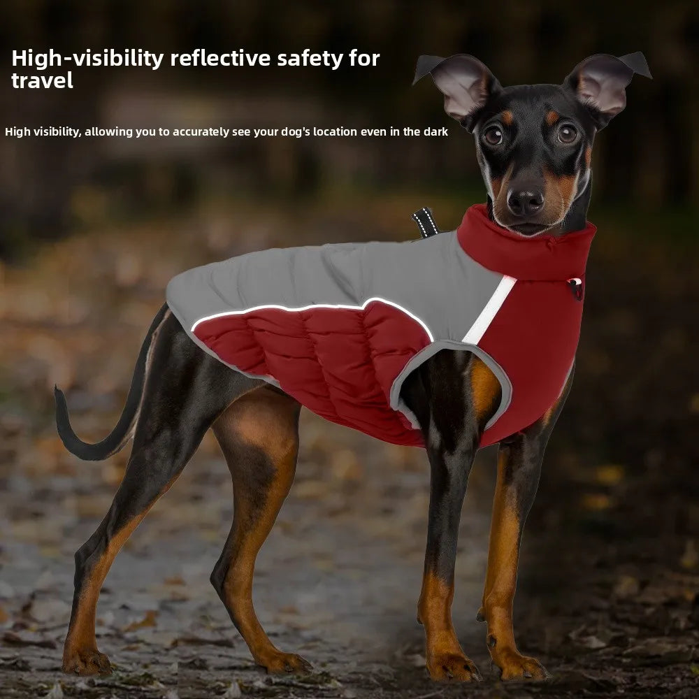 Winter Dog Cotton-Padded Windproof Windbreaker Jacket Sporty Style Warm for Medium