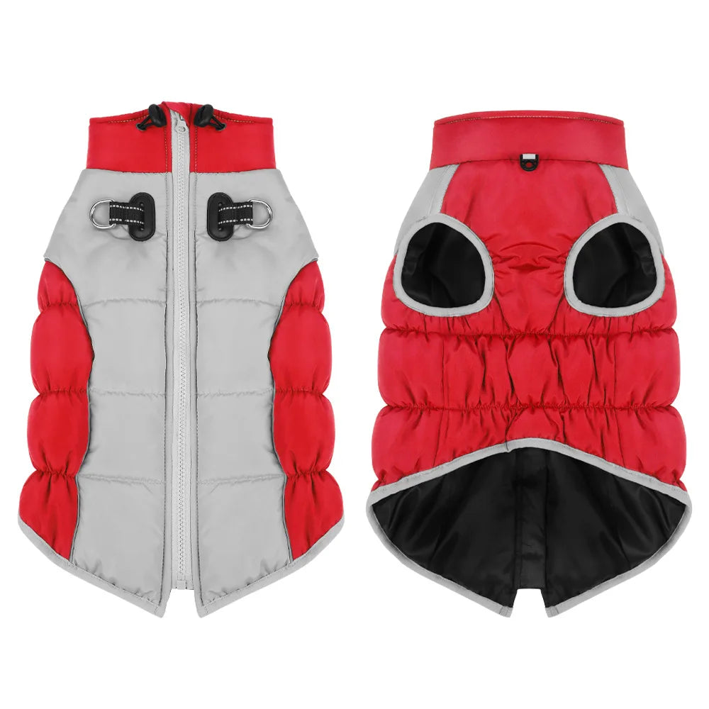 Winter Dog Cotton-Padded Windproof Windbreaker Jacket Sporty Style Warm for Medium