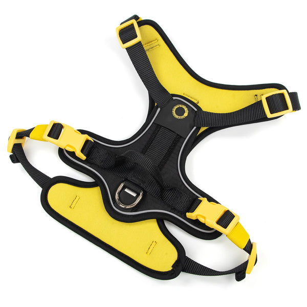 Colorful Breathable Custom Reflective Dog Harness No Pull Adjustable Pet Harness Set