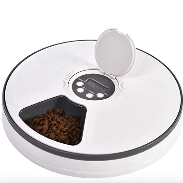 Small Animal Automatic Pet Food Feeder 6 Meals Timer Rounded Plastic Pet Bowl Popular