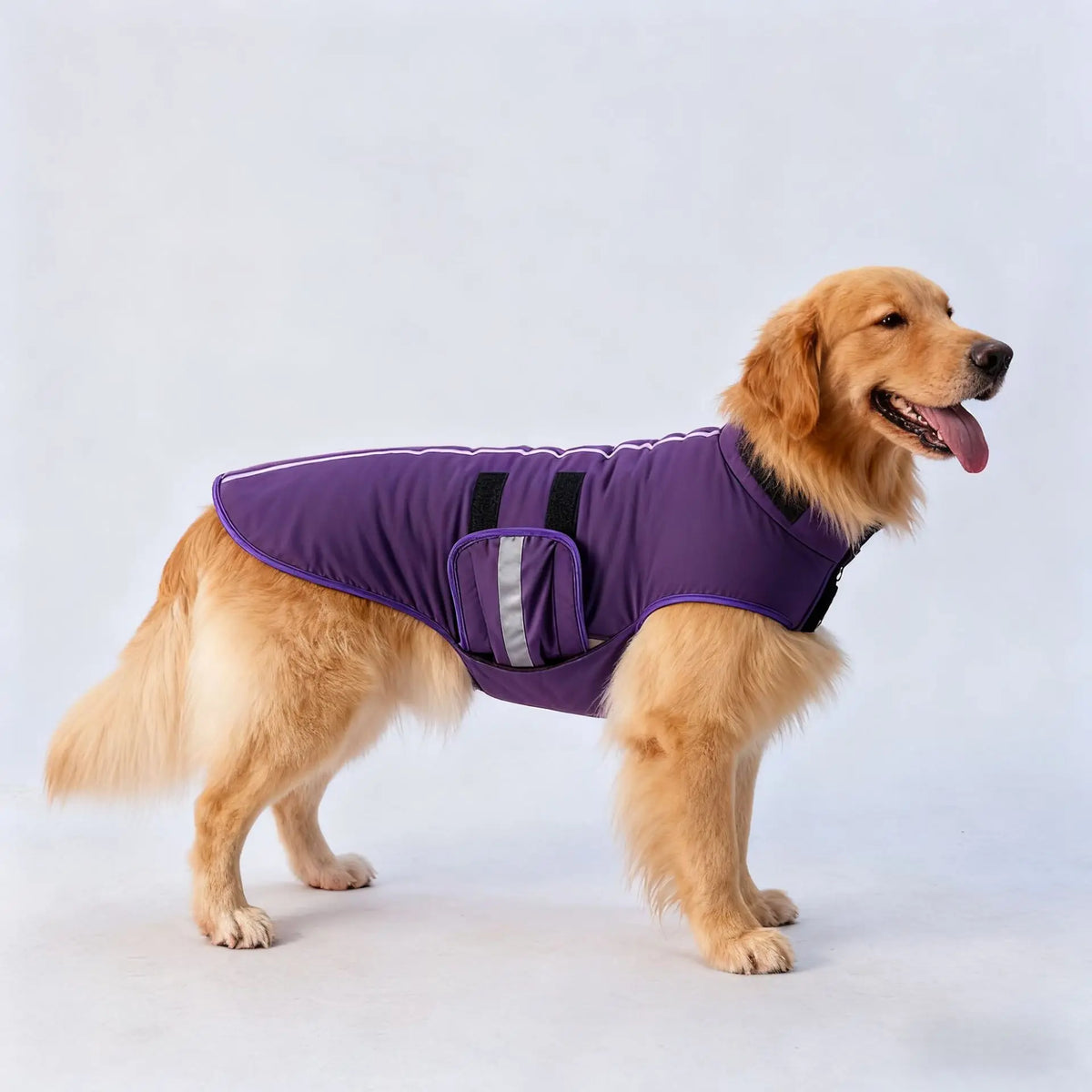 Pet Winter Big Dog Clothes Thickened Warm Polyester Casual Style Cotton-Padded Coat