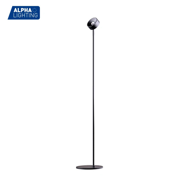 RGB Rainbow Sunset Floor Lamp, Modern Standing Lamp in Black or White