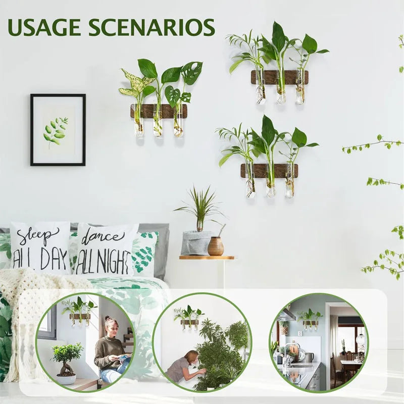 Wall Hanging Propagation Station With Wooden Stand Glass Test Tubes for Home Office Plant