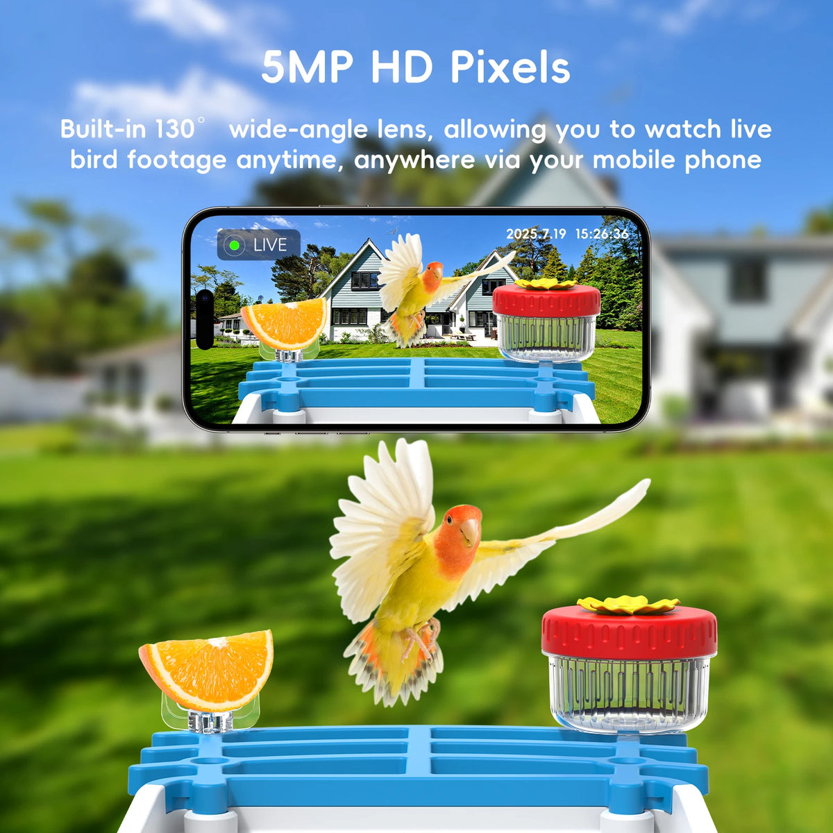 Smart Solar Bird Feeder With 5MP Night Vision Cam Auto Bird Video Recording APP Monitor