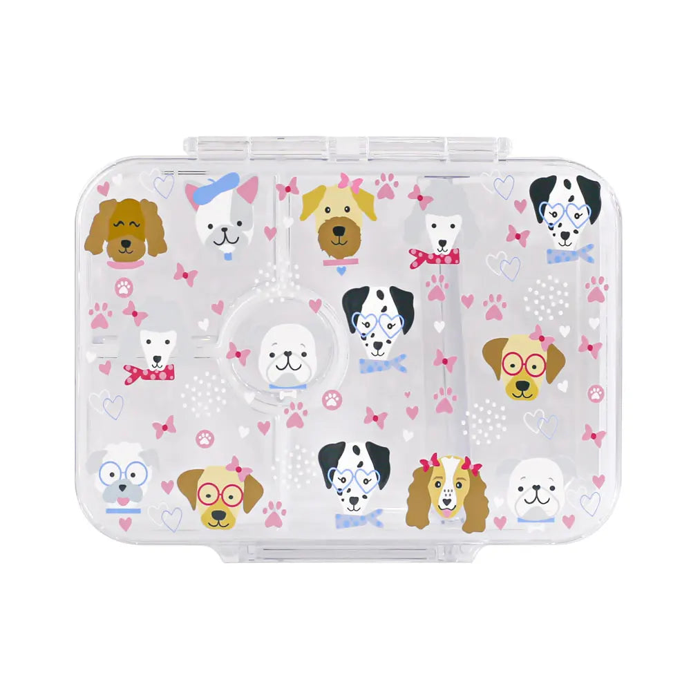 School-Grade Leak-Proof 5 Compartment Bento Box BPA-Free Food Grade Lightweight Lunch Box