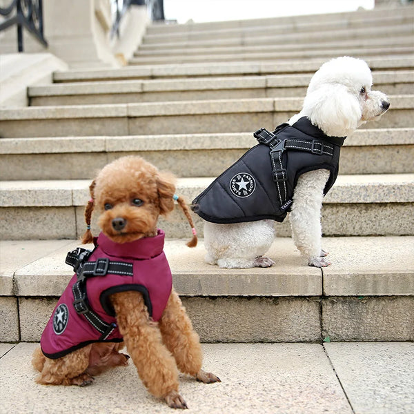 All Pet Winter Jacket Drying Coat Pet Waterproof Reflective Cat Vest Luxury Warm Custom