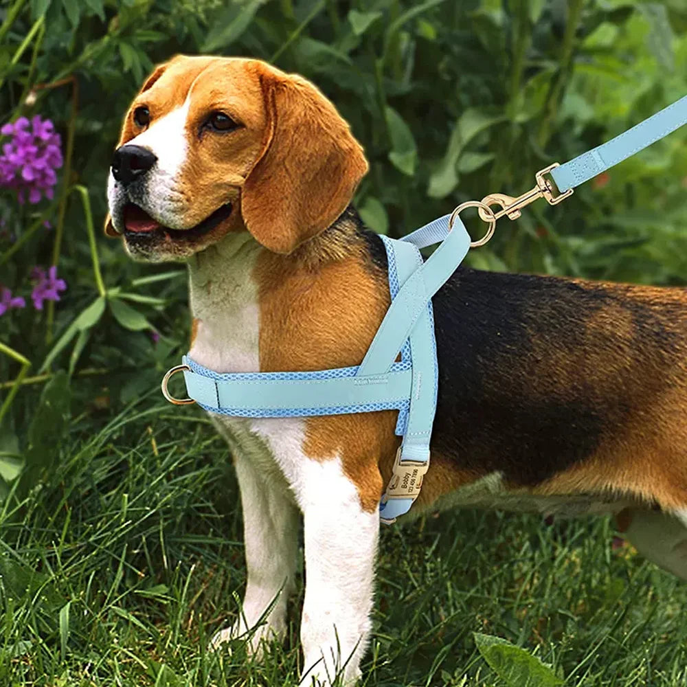 Fashion Dog Vest Harness No Pull Nylon Adjustable Mesh Padded Pet Harness and Leash Set