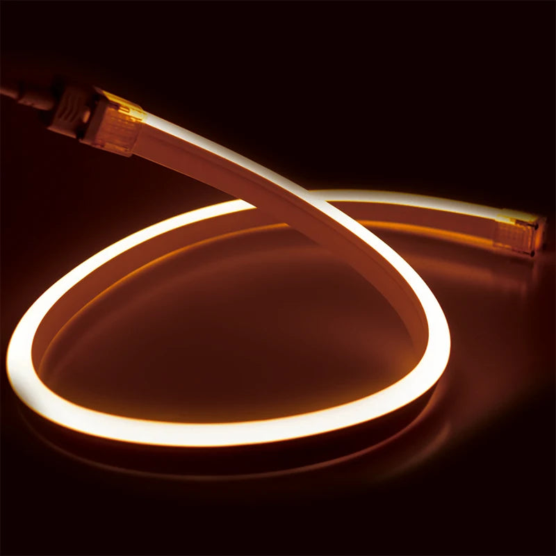 12x20mm Outdoor IP67 Silicone LED Neon Flex DC24V DMX512 RGB/RGBW/SMD5050 10-Year