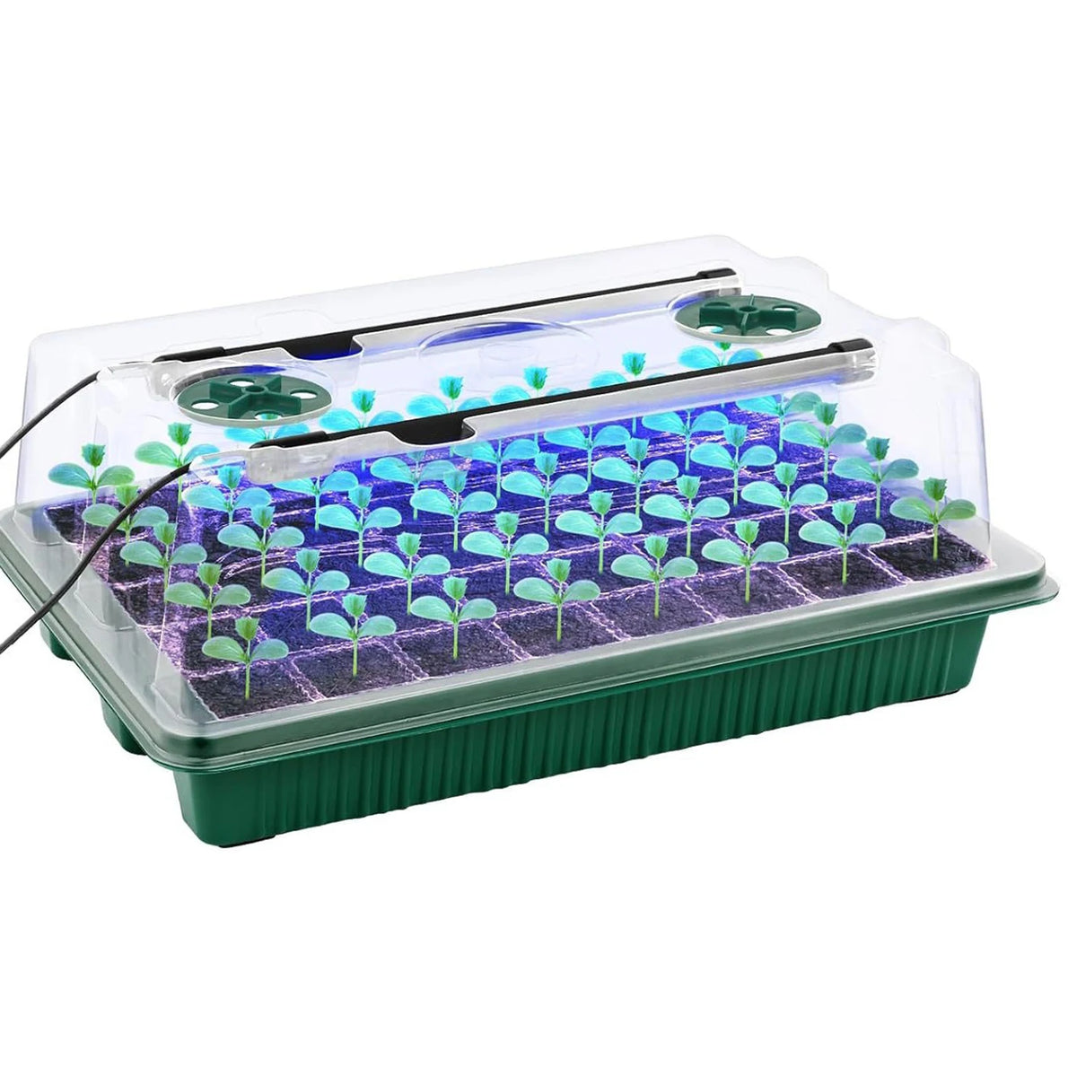 Complete All-in-One Seedling Propagation System with LED Grow Light and Starter Tray Box