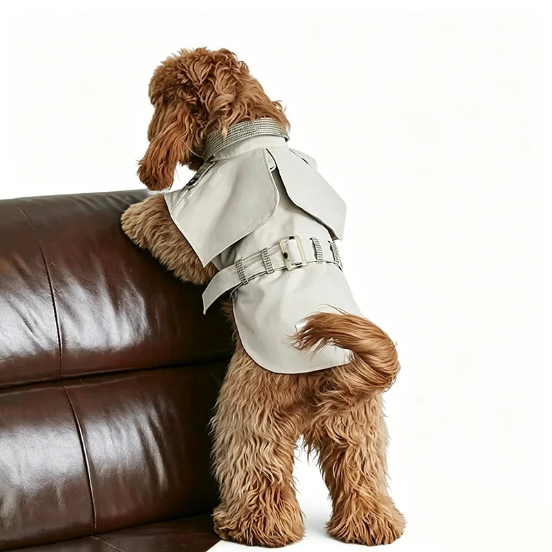 New Winter British Style Water-Resistant Dog Cloak Trench Coat With Metal Buckles