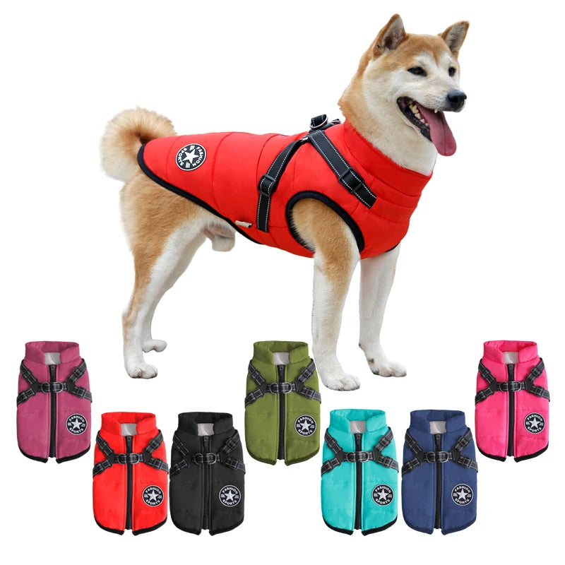 All Pet Winter Jacket Drying Coat Pet Waterproof Reflective Cat Vest Luxury Warm Custom