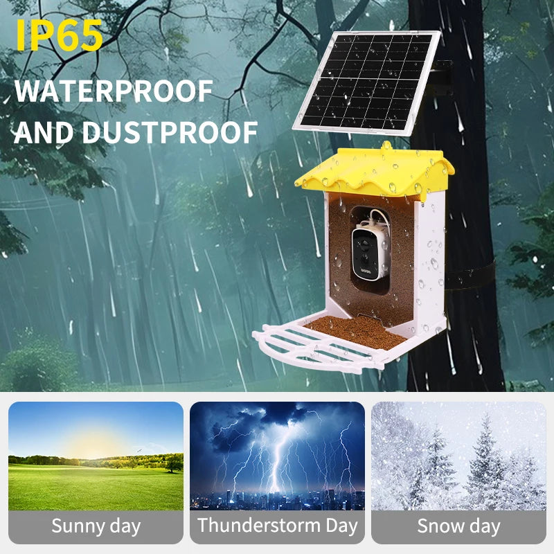 Smart 3.2L Squirrel-Proof Bird Feeder with Automatic Motion Detection Outdoor Wireless