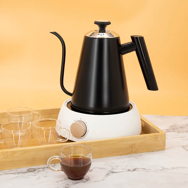 Stove Top Gooseneck Kettle for Coffee Tea With Thermometer Stainless Steel Bottom Pour