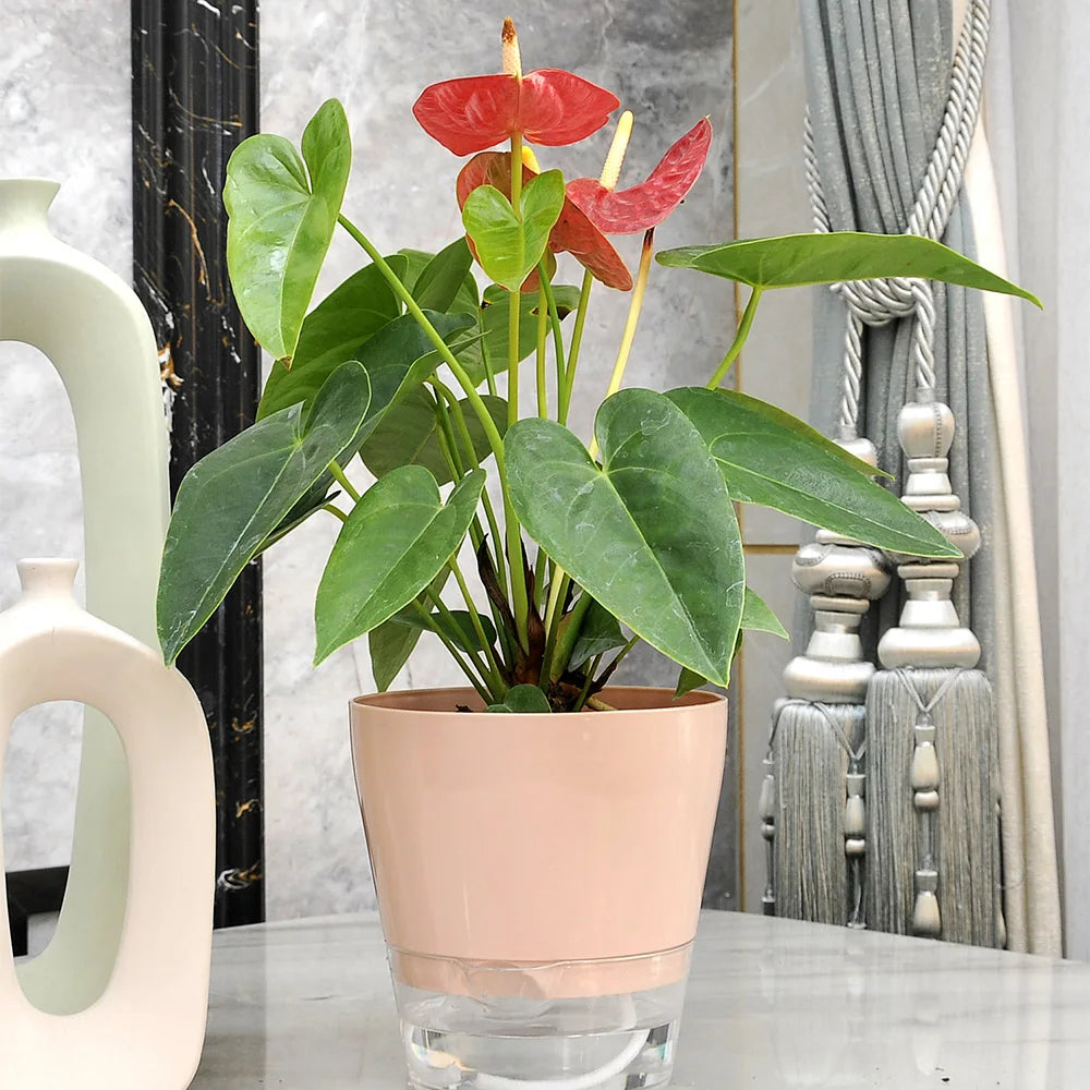 4Pack Bedroom Interior Self Watering Planter Easy Planters Indoor Plants Plastic Double
