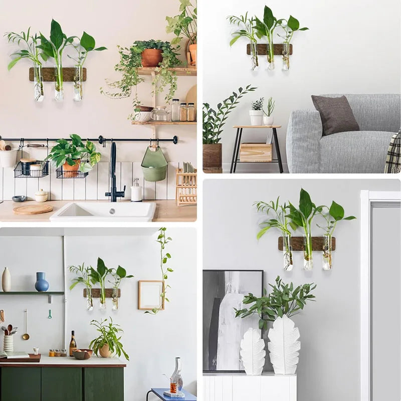 Wall Hanging Propagation Station With Wooden Stand Glass Test Tubes for Home Office Plant